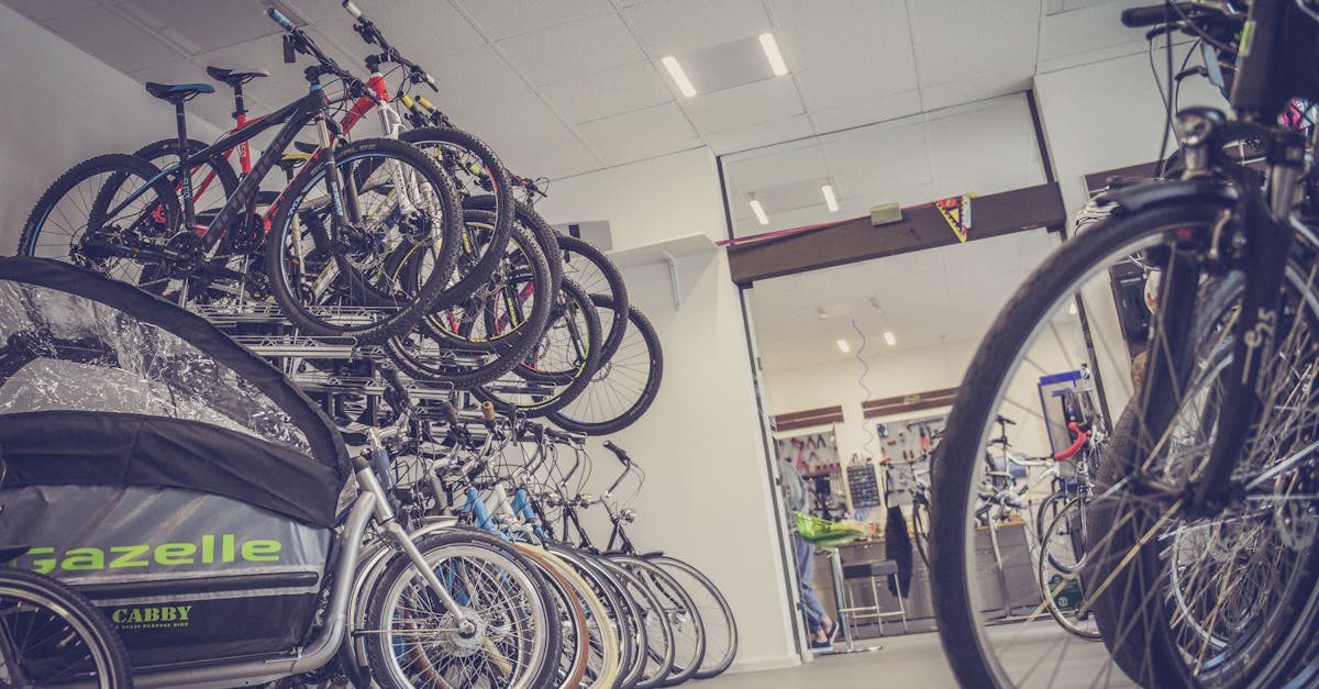 fietswinkel maastricht